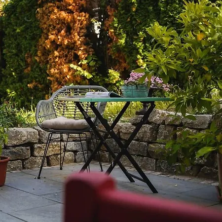 Rosa - Garden Detmold