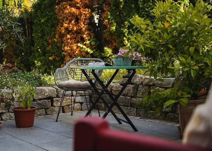 Rosa - Garden Detmold