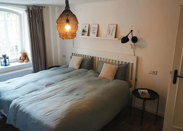 Rosa - Garden * Детмольд