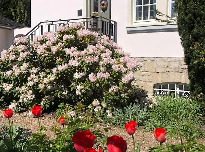 Rosa - Garden Апартаменты *